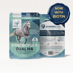 SYNCROFLEX DUAL HA 400G