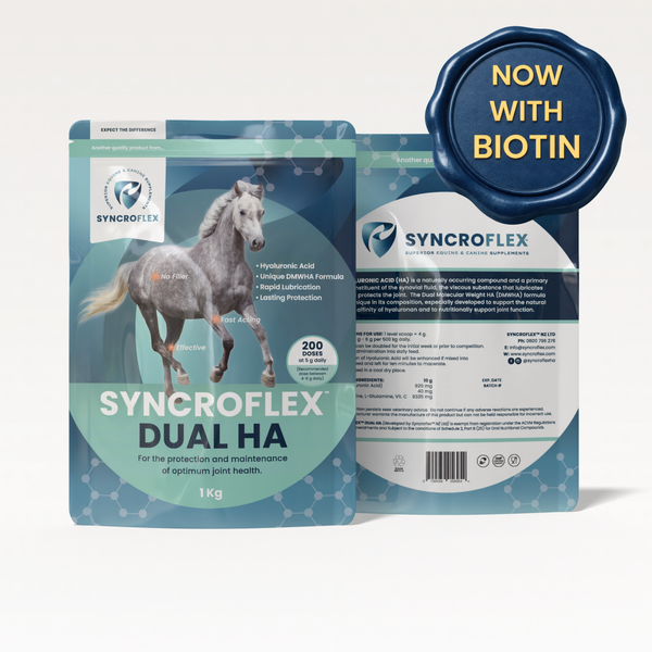 SYNCROFLEX DUAL HA 1KG