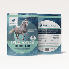 SYNCROFLEX DUAL HA 1KG