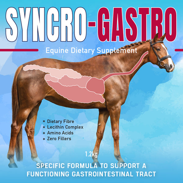 SYNCRO-GASTRO 1.2 Kg