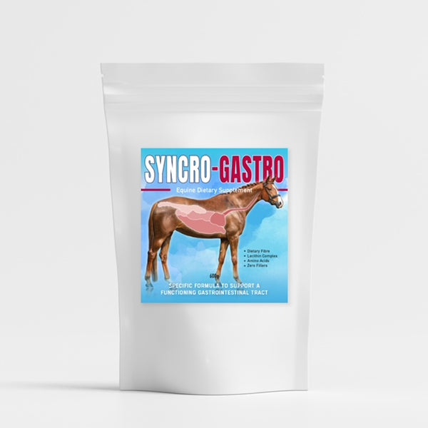 SYNCRO-GASTRO 600g