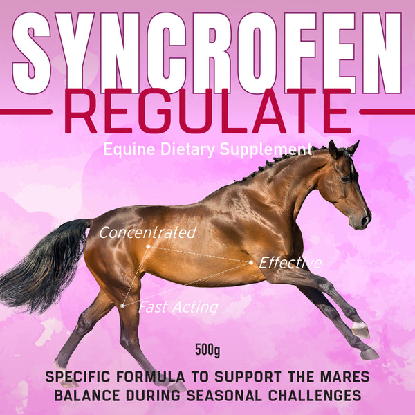 SYNCROFEN REGULATE 500G